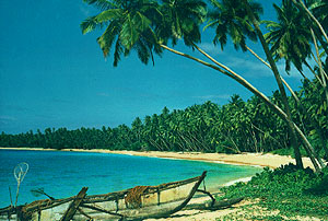 Typical Beach View, Southern Sri Lanka