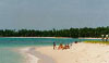click here for a safari of the beautiful sandy beaches of Sri Lanka. 