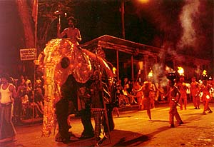 A Decorated Elephant at the Esala Perahera