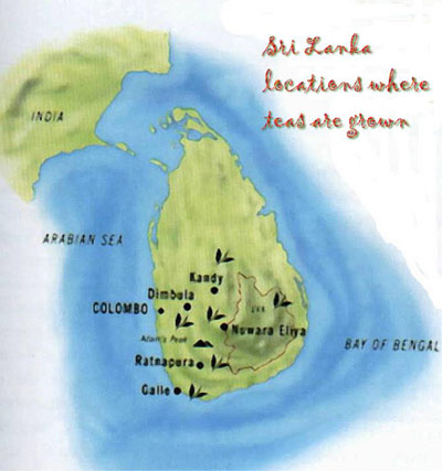 Areas of Tea Cultivation in Sri Lanka