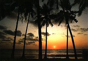 Stunning view of a Sunset in Sri Lanka