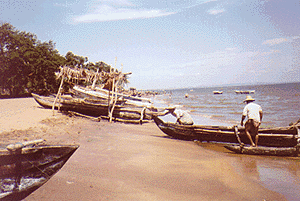 Fishing Boats