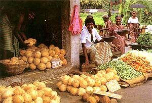 A typical village stall